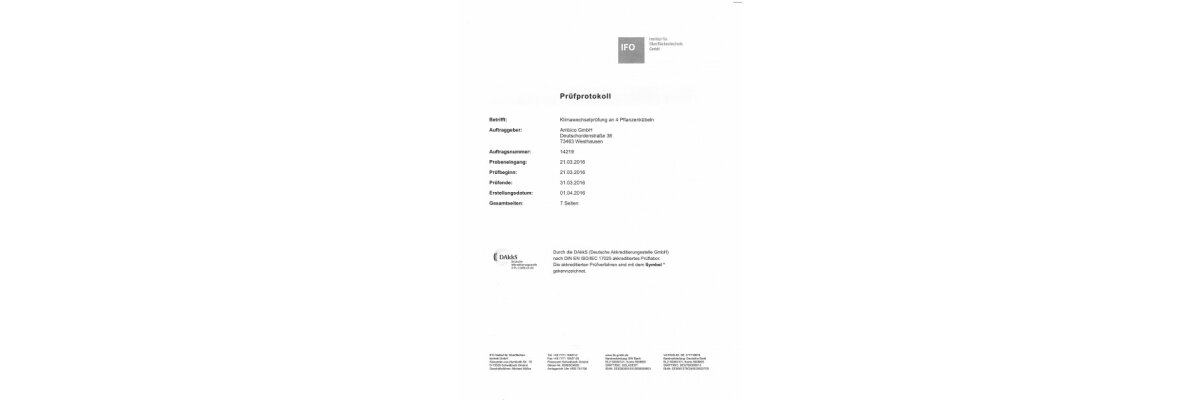 Fiberglas-Pflanzkübel mit geprüfter Frostbeständigkeit  - Frostfeste Fiberglas-Pflanzkübel mit Zertifikat