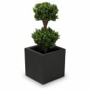 Kunstpflanze PHILIPP Buchsbaum 90