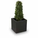 Kunstpflanze BENJAMIN 120