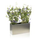 Pflanztrog VISIO 40 Edelstahl gebürstet